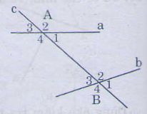 Các góc tạo bởi một đường thẳng cắt hai đường thẳng-1