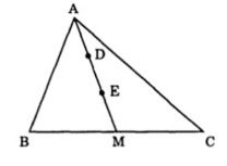 Một số bài toán cơ bản và nâng cao về diện tích tam giác  có lời giải - Toán lớp 5