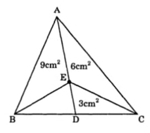 Một số bài toán cơ bản và nâng cao về diện tích tam giác  có lời giải - Toán lớp 5